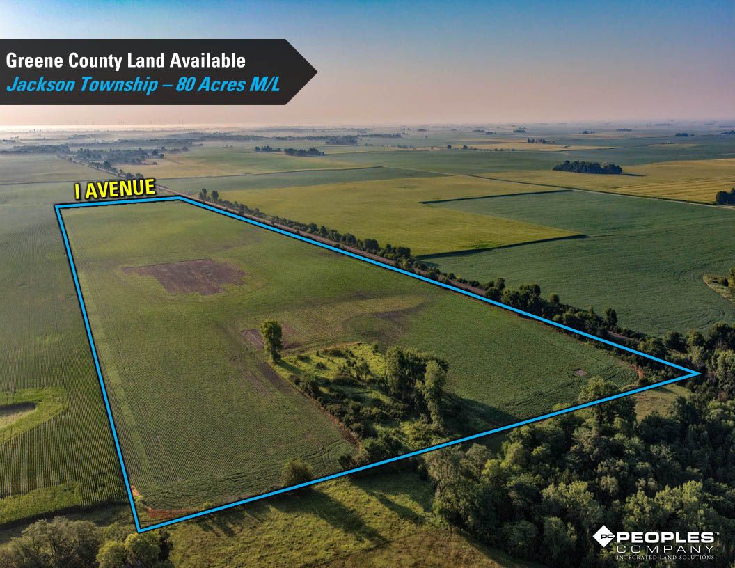 Listing Photo: Greene-County-Iowa-Farmland-Available-80-Acres-Scranton-Jefferson-19706 (15)